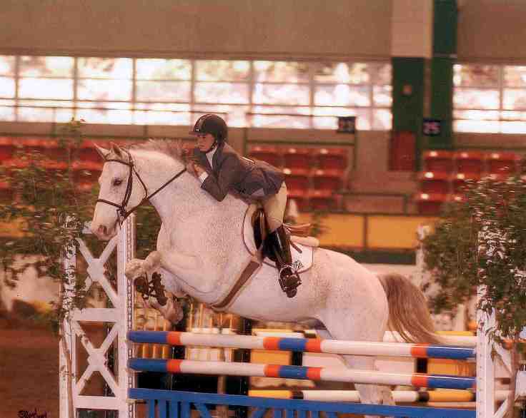 Grand Milton w/Taryn - Hunter/Jumper in Raleigh