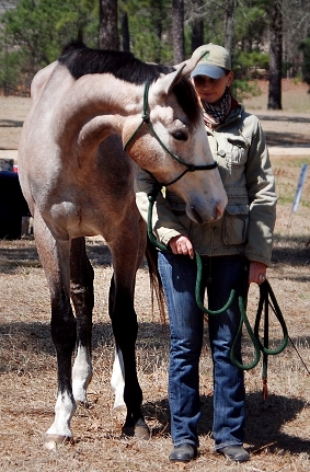 "Davia at SHV in Southern Pines"