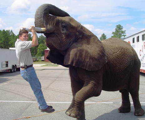Brian with Elephant