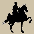 Windsor Farm Saddlebreds -American Saddlebreds for sale -  Linden, North Carolina