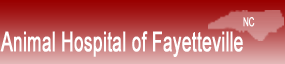 Animal Hospital of Fayetteville