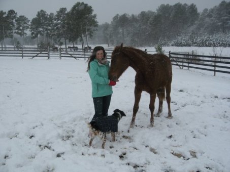 Taryn at Windosr Farm