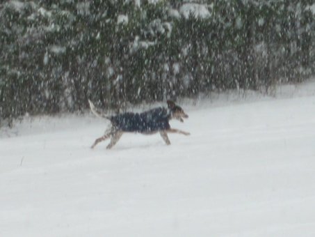 Snow Day at Windsor Farm
